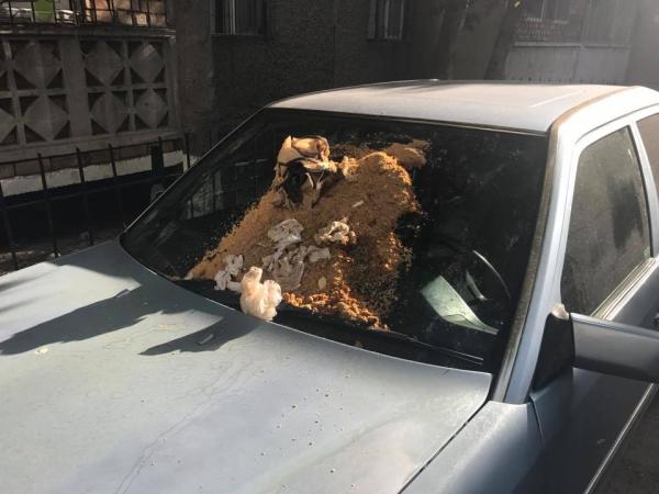 Пенсионерка выливает помои на припаркованные автомобили в Пятигорске